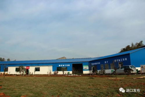 湖口這個(gè)鄉(xiāng)鎮(zhèn)變化太大了,美到你不認(rèn)識 是你家鄉(xiāng)嗎